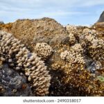 17125期开奖结果公布,大奖花落谁家引关注 0q0ebt