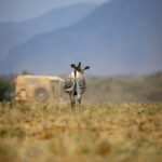 17119期足彩开奖结果揭晓:大奖花落谁家? 3uo7n