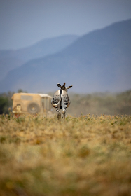 17119期足彩开奖结果揭晓:大奖花落谁家? 17119期足彩开奖结果揭晓:大奖花落谁家?