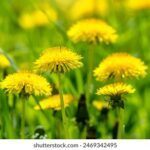 3d135期最新开奖结果查询与详细数据分析 7u96bep