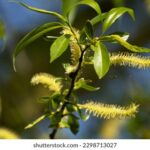 17117期最新开奖结果查询与中奖号码公布 931y675k