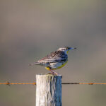 3d123期开奖结果最新公布与详细中奖号码查询 ebw9g