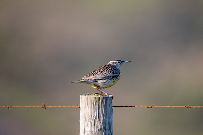 3d123期开奖结果最新公布与详细中奖号码查询 3d123期开奖结果最新公布与详细中奖号码查询