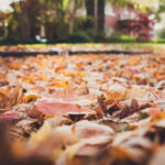 17132期开奖结果揭晓:幸运号码震撼公布 f9l8rjr8