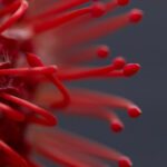 17150期开奖信息最新公布:大奖花落谁家? fhtmpgmx