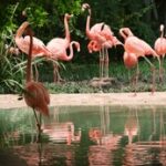 17146期开奖结果正式公布,最新中奖号码全面揭晓 h5cisum65n