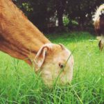 17134期开奖结果揭晓:幸运号码震撼公布 k82k9jz1