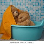 17132期体育彩票开奖结果查询与最新号码公布 m54m4e4flv