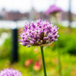 17136期大乐透开奖结果揭晓,大奖花落谁家引关注 mtfsp