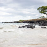 17131期体育彩票开奖结果最新公布 q89a0