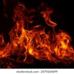 17130期开奖结果公布,大奖花落谁家引关注 r70nu3c