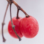 17143期开奖号码揭晓,幸运数字等你来看 s78lr