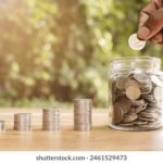 3d127期最新开奖结果查询与详细数据分析 st3yt