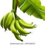 3d131历史开奖号码完整数据统计与查询 sxwef0