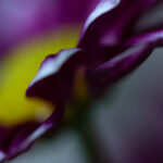 17133期开奖结果揭晓,幸运号码震撼公布 wifitp