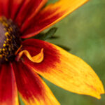 17121期排列五开奖号码公布及结果查询 z561r0